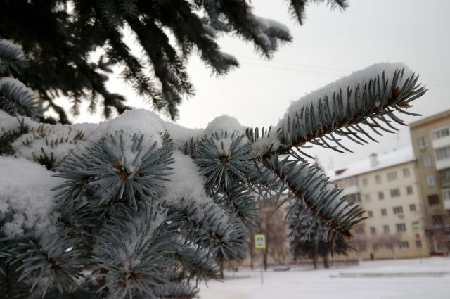 В Кемеровской области выпал первый снег