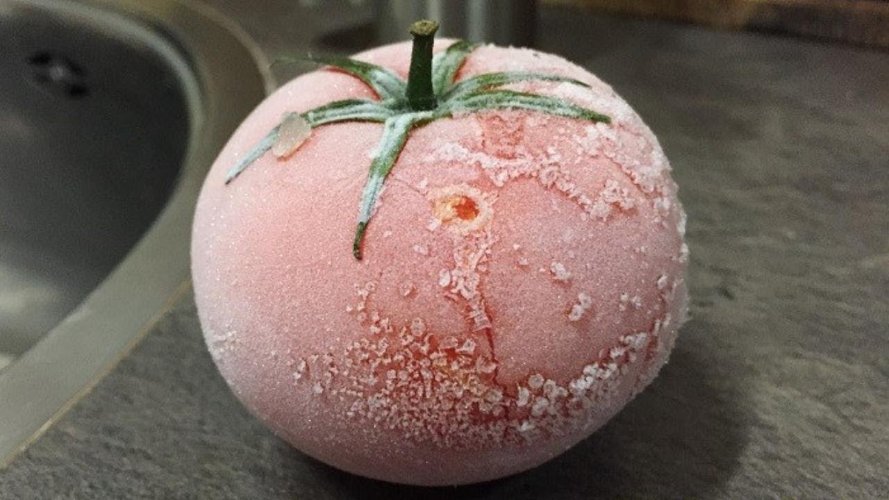 Как заморозить помидоры НА ЗИМУ Томаты замороженные целиком Самый простой РЕЦЕПТ ЗАМОРОЗКИ ОВОЩЕЙ