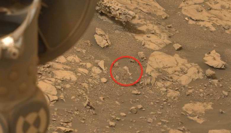 Скотт Уоринг нашел на Марсе «древнюю амфору»