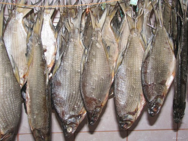 Как быстро посолить рыбу дома, на даче, на рыбалке и в походе
