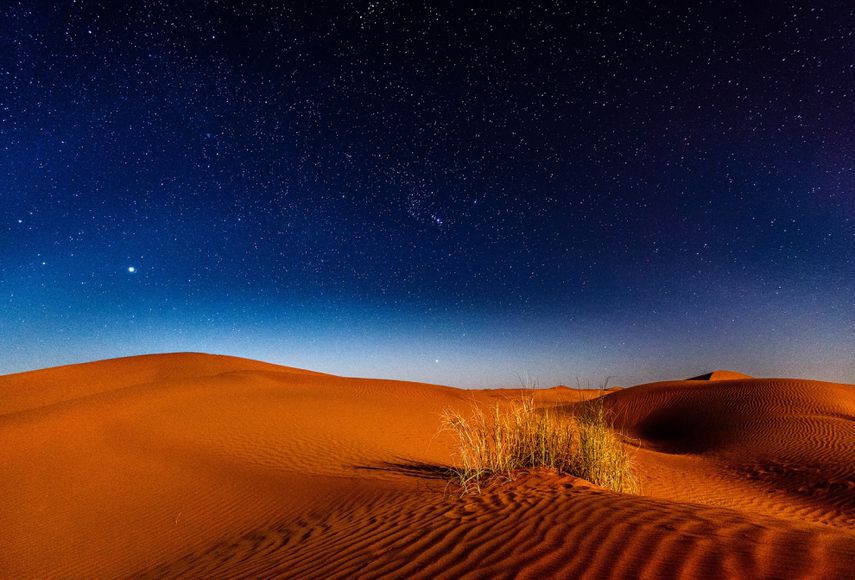 Застройка Сахары солнечными и ветряными электростанциями превратит пустыню в зеленую долину