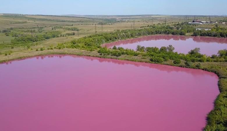 Озера под Самарой неожиданно приобрели розовый цвет
