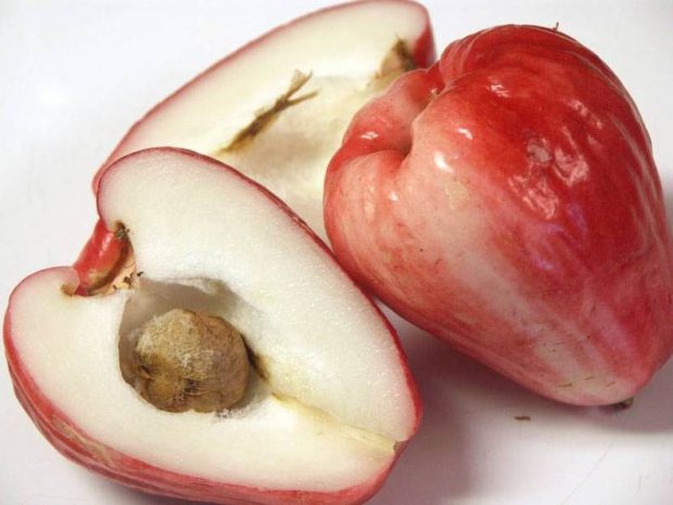Самый необычный сорт яблок в мире: яванский