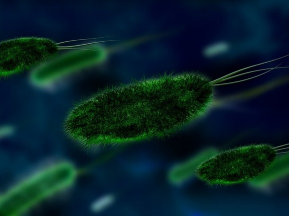 Ученый ввел себе "бактерию бессмертия" и перестал уставать