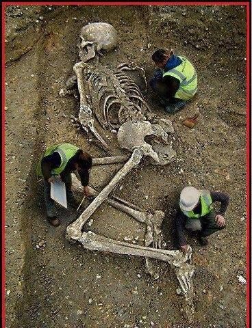 Фото гигантских скелетов - правда или фейк?