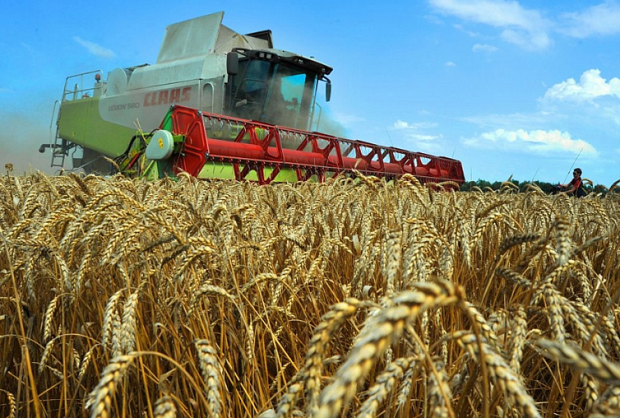 Минсельхоз России: на 1 октября собрано 100,4 млн тонн зерна