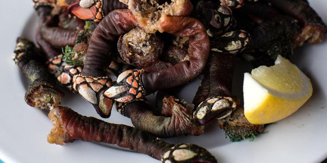 “Пальцы Люцифера” - редкий, вкусный и опасный при добыче морской деликатес
