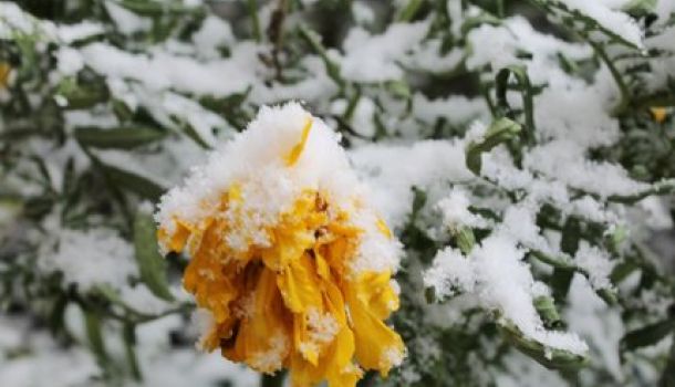 Башкирию засыпало снегом: видео