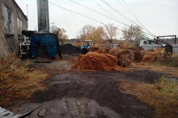 Энергетическая сверхдержава: провинциальные поселки начали отапливать сеном