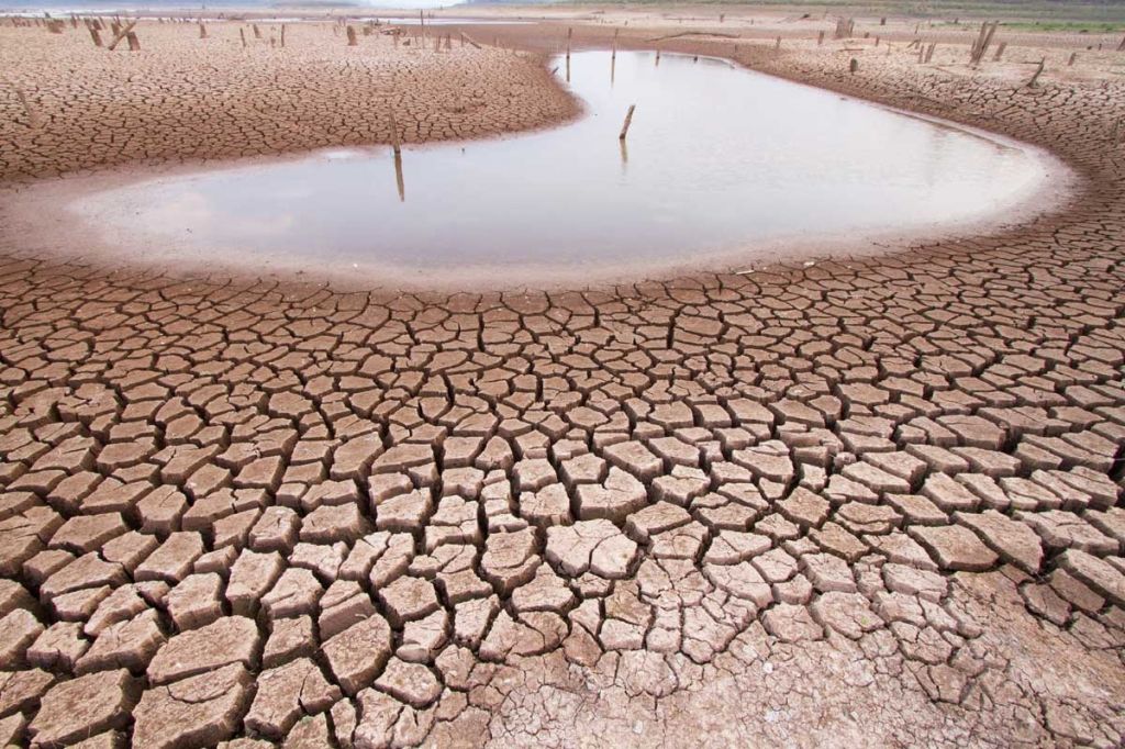 Глобальное потепление: ООН предупреждает о засухе и нехватке продуктов