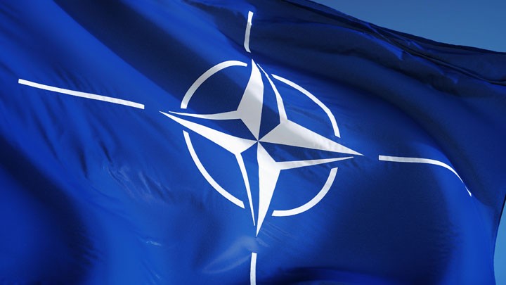 Бредим: НАТО обвинило Россию в намерении США выйти из ДРСМД