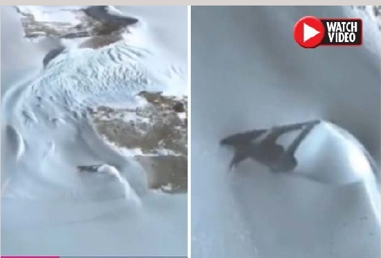 Очередная загадка Антарктиды: что скрыто под снегом?