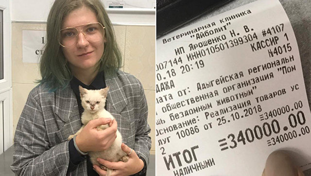 Зачем студентка выложила за котенка с улицы 340 тысяч рублей