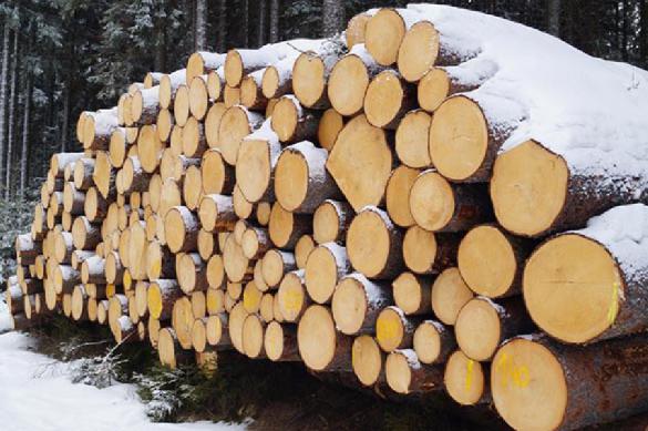Россия пригрозила Китаю запретом на экспорт древесины