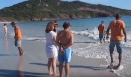 Автор этого видео, как и другие отдыхающие, просто наслаждался отпуском на пляже.