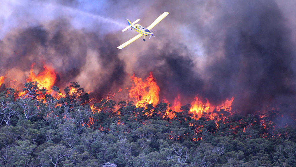 В Австралии проводится массовая эвакуация из-за лесного пожара
