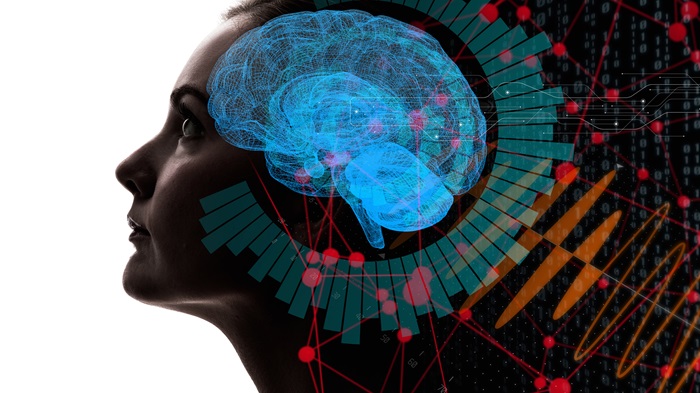 В мозге найдено два нейронных хронометра, отвечающих за предсказание будущего