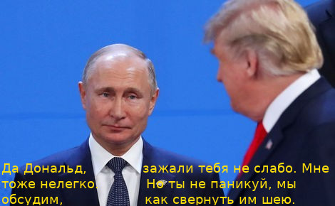 Путину и Трампу удалось обсудить план боя против общего врага