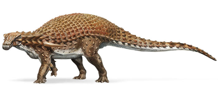 Уникальные находки, связанные с динозаврами
