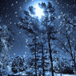 В Россию пришла астрономическая зима 23 декабря