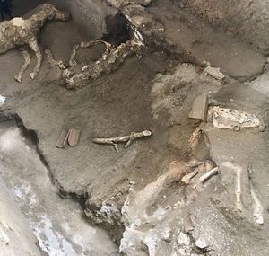 Последние лошади Помпеи: новая археологическая находка