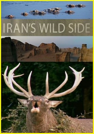 Дикие места Ирана / Iran's Wild Side (2018) National Geographic