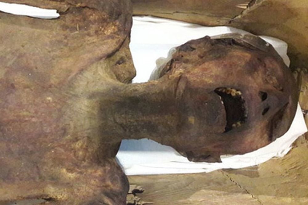 Египтологи рассказали о загадке "кричащей мумии"