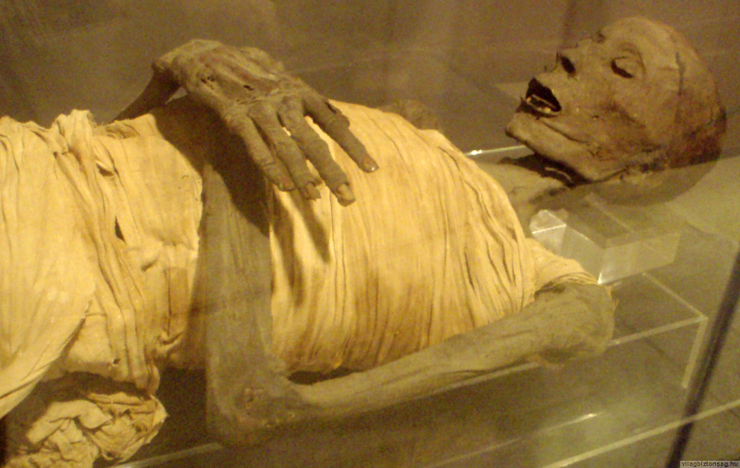 В колене древней египетской мумии обнаружили 23 сантиметровый медицинский штифт