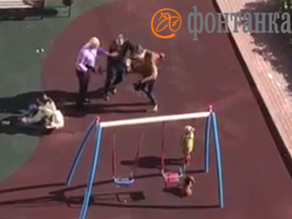В Петроградском районе женщина ударила ногой трёхлетнего ребенка, защищая свою собачку