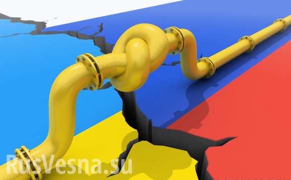 В Госдуме прокомментировали слова депутата Рады о последствиях прекращения транзита российского газа