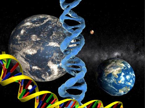 «Бессмертие и молодость»: Нибиру изменит магнитное поле Земли и повлечет за собой тотальную регенерацию человеческих клеток