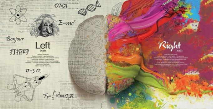 Как развивать полушария мозга
