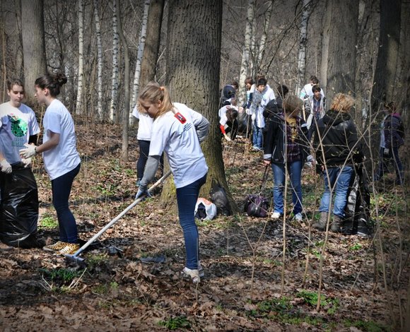 Работы по уходу за деревьями начались в Москве