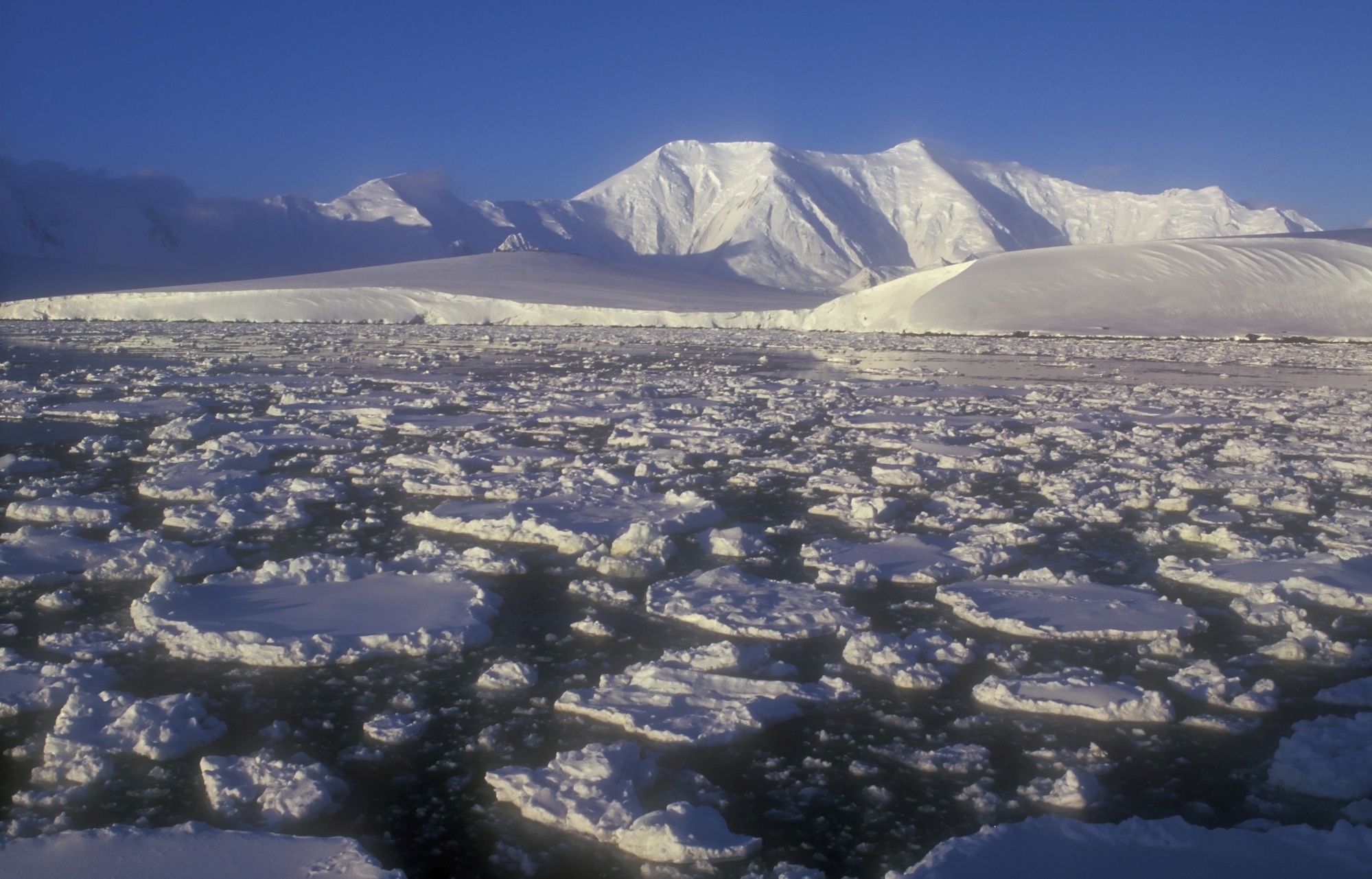 Потепление порождает в Антарктиде ледяные горы?