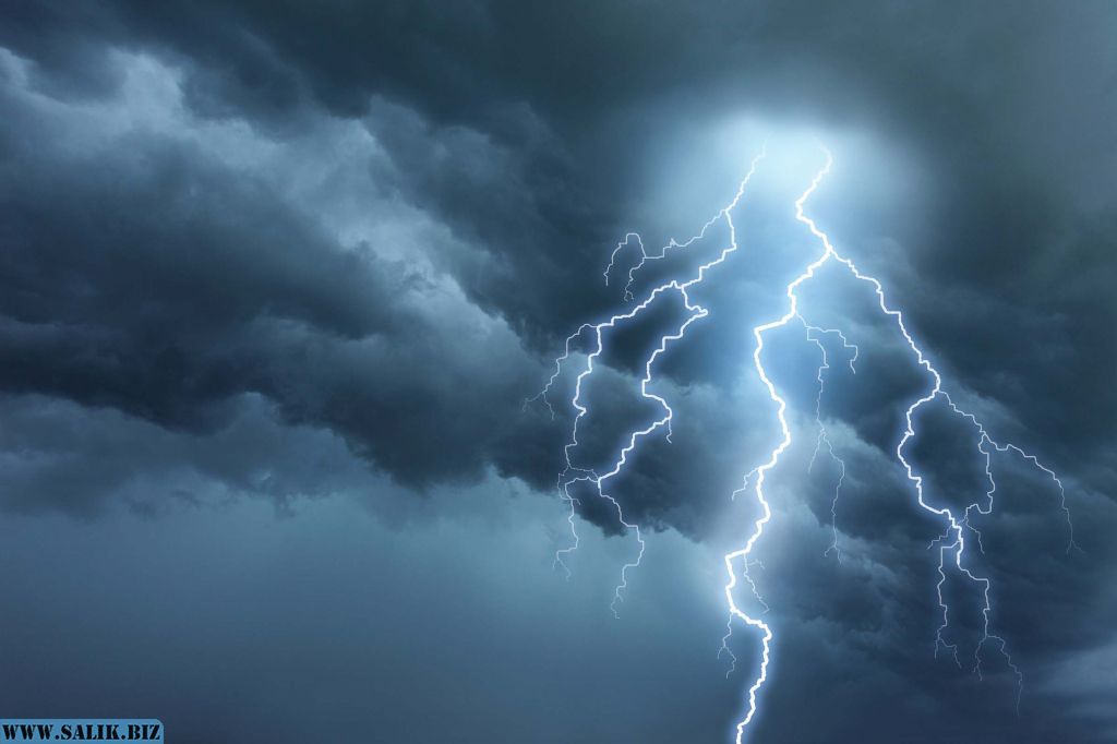 Учёные выяснили, что происходит в облаке перед вспышкой молнии