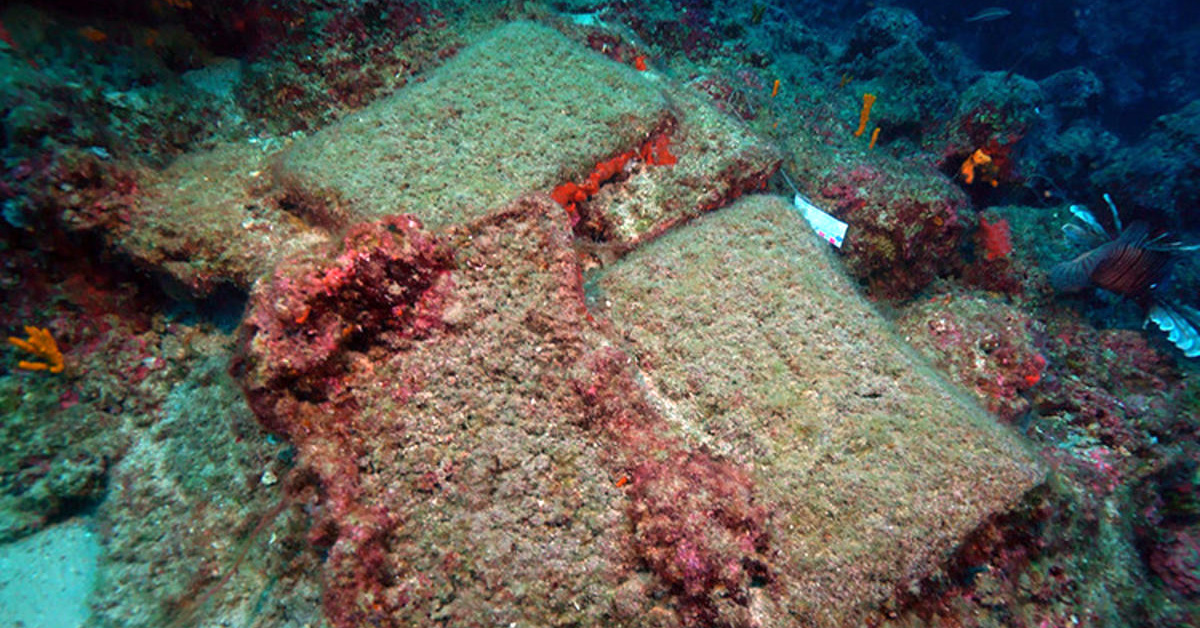 37 лет спустя: у берегов Турции опять нашли древнейший в мире корабль