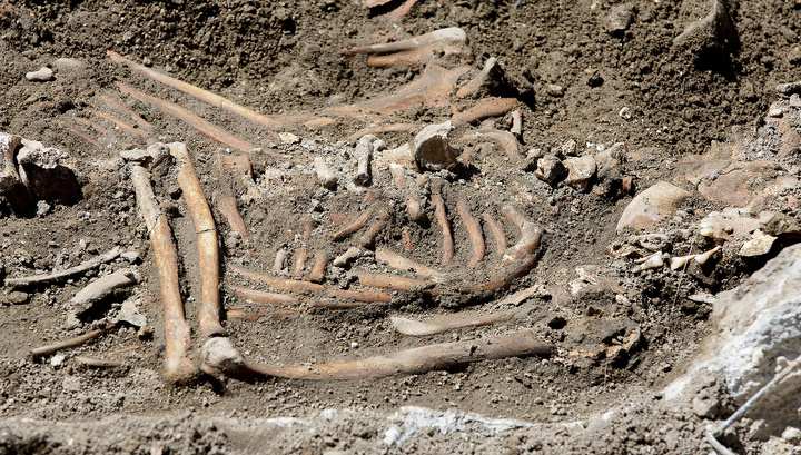 Древнейшие в Америке следы человека найдены на юге Чили