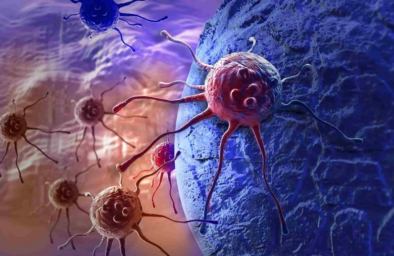 Заболевание «рак»: мифы и реальность