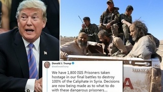 Трамп: европейцы должны принять 1800 арестованных боевиков ИГИЛ