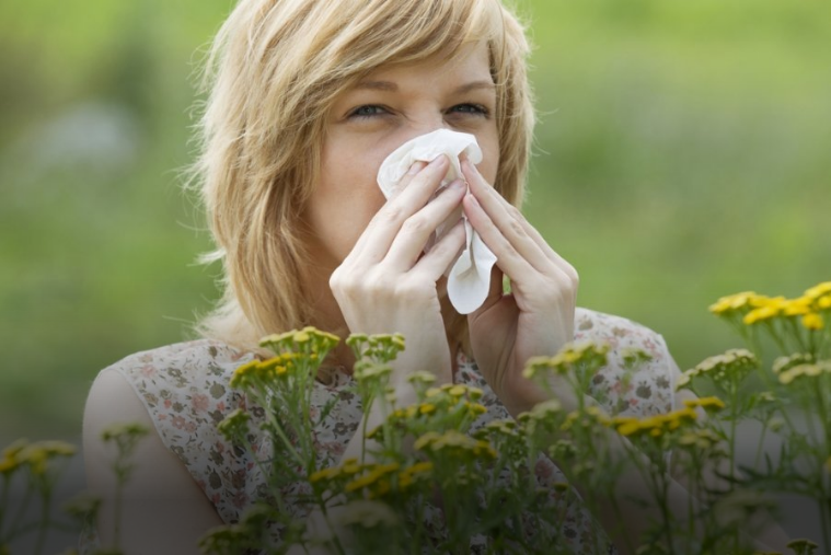 Как спастись от реакции на пыльцу растений — из личного опыта аллергика