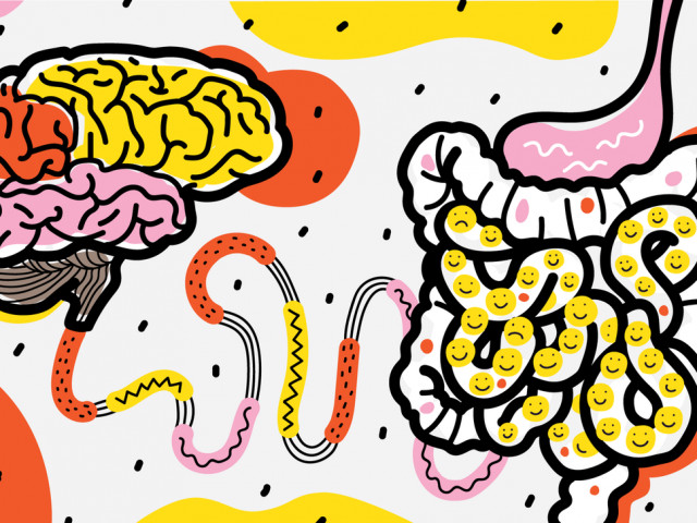 Как кишечные бактерии управляют нашим мозгом