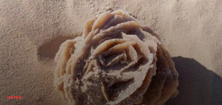 «Розы пустыни»: как в Сахаре образуются каменные цветы