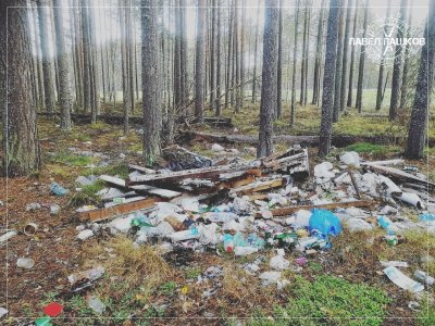 Как население севера России на мусор разводили