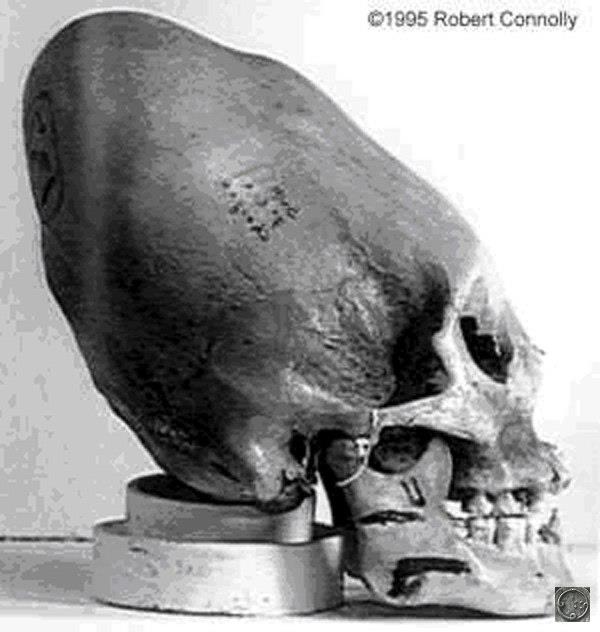 Странные черепа из Ики, Перу, Мериды и Мексики