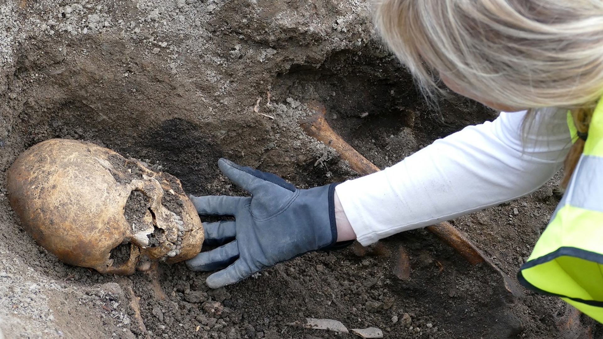 Мужчина, лошадь и собака: в Швеции найдена нетронутая "лодочная могила" эпохи викингов