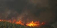 Новосибирский журналист высказался относительно ситуации с пожарами в Красноярском крае