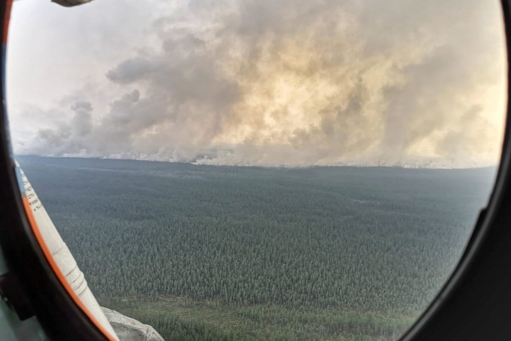 В Госдуму внесены поправки об обязательном тушении лесных пожаров