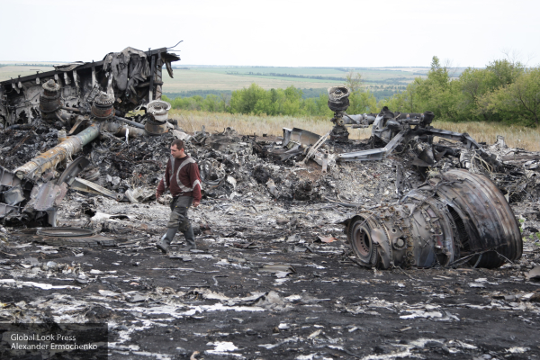 Частный детектив готов передать свои доказательства по делу MH17 России и Малайзии