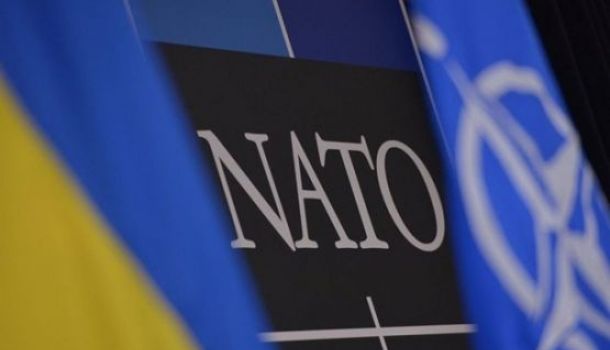 НАТО приостановили поставки военного имущества Украине из-за массовых хищений
