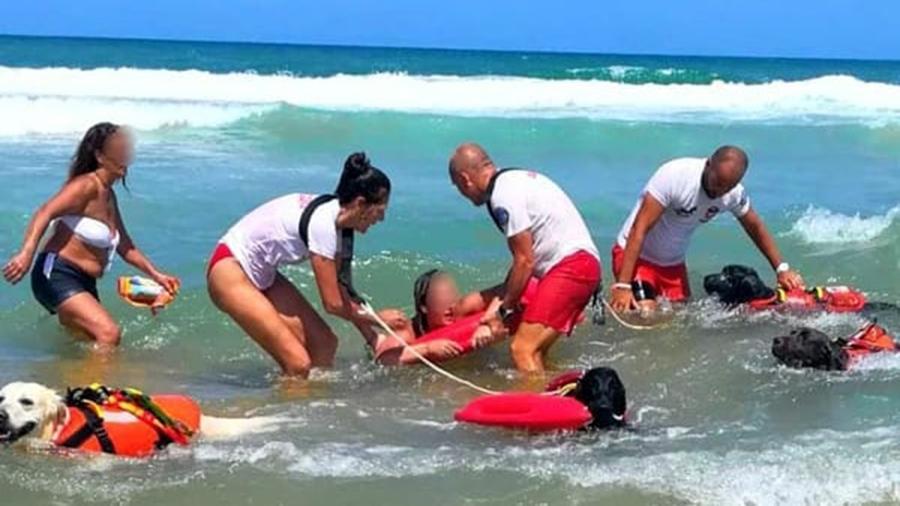 На празднике в Италии собаки спасли восемь тонущих в море человек